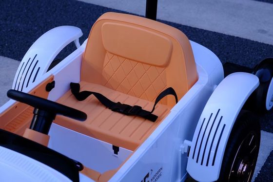 PP Plastic Type Kinders swing rijden op auto's voor 2 jaar oud Vroeg onderwijs functie