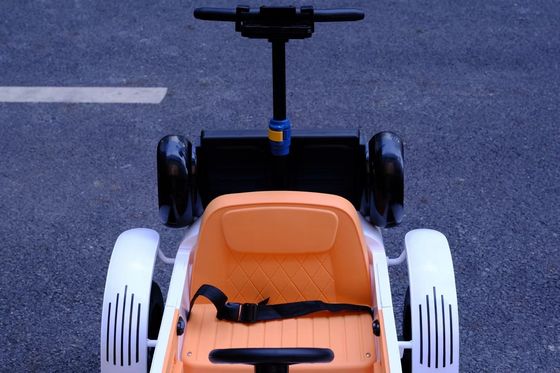 PP Plastic Type Kinders swing rijden op auto's voor 2 jaar oud Vroeg onderwijs functie