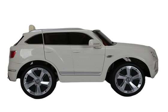 Plastic 6v of 12v elektrische rit op de auto met afstandsbediening van de geautoriseerde