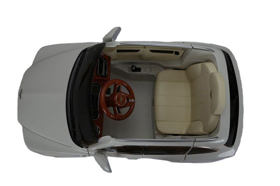 Plastic 6v of 12v elektrische rit op de auto met afstandsbediening van de geautoriseerde