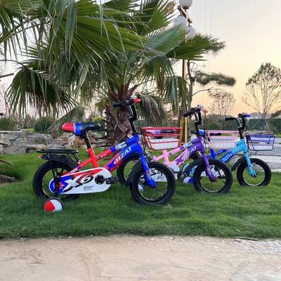 12 inch Carbon Steel Frame Ride On Toy N.W van 8kg en geschikt voor 2-7 jaar oude baby