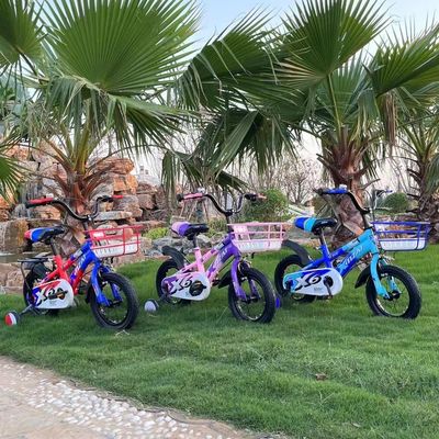 12 inch Carbon Steel Frame Ride On Toy N.W van 8kg en geschikt voor 2-7 jaar oude baby