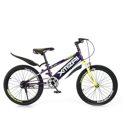 22 inch Mountainbike met schokabsorberende voorvork en kleurveranderend proces